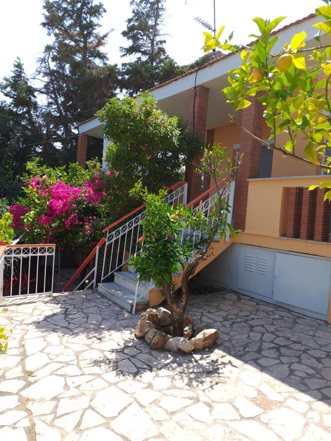 Amphiareion Sea View Holiday home *
