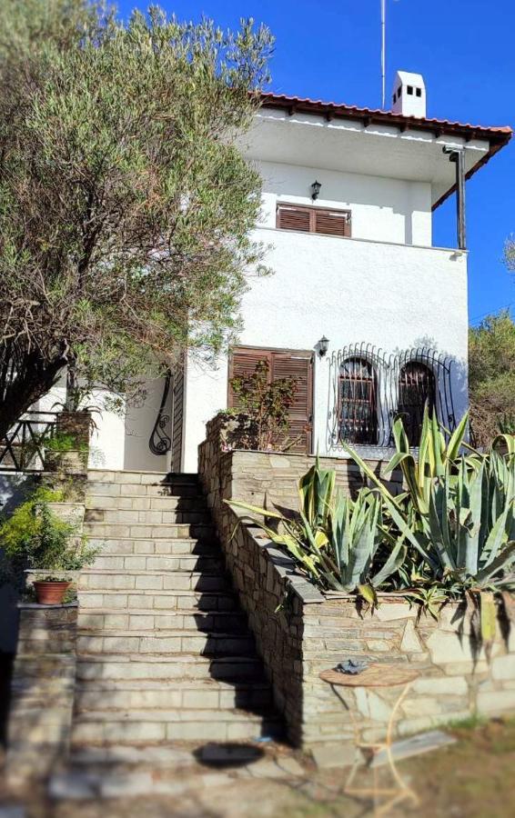 Mike's Seaside House * Akti Salonikiou