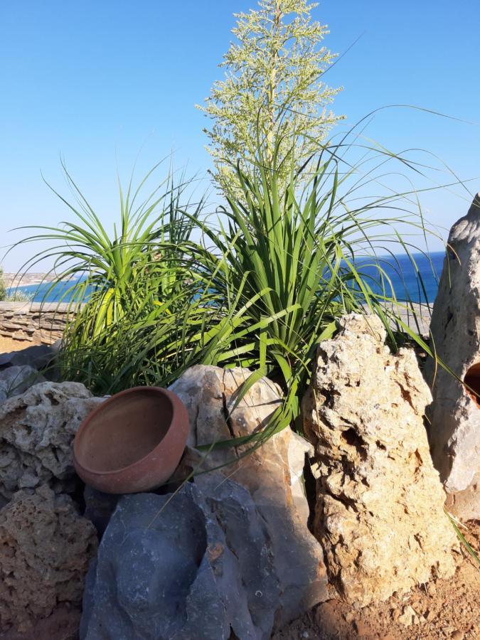Apartment Breathtaking Sea View Flat In South Crete Keratokampos