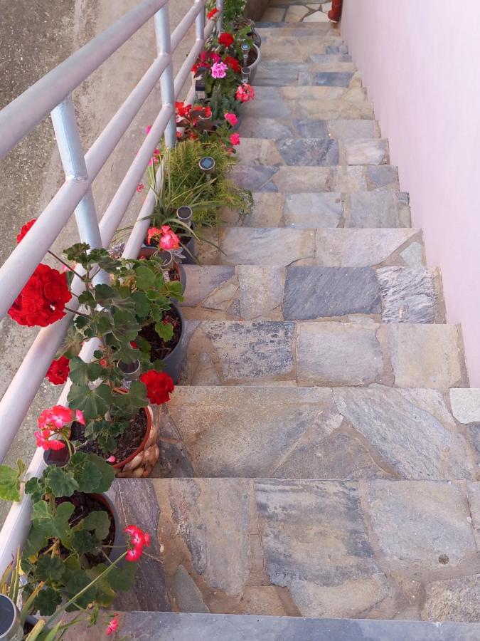 Agatha Appartments Paliouria *