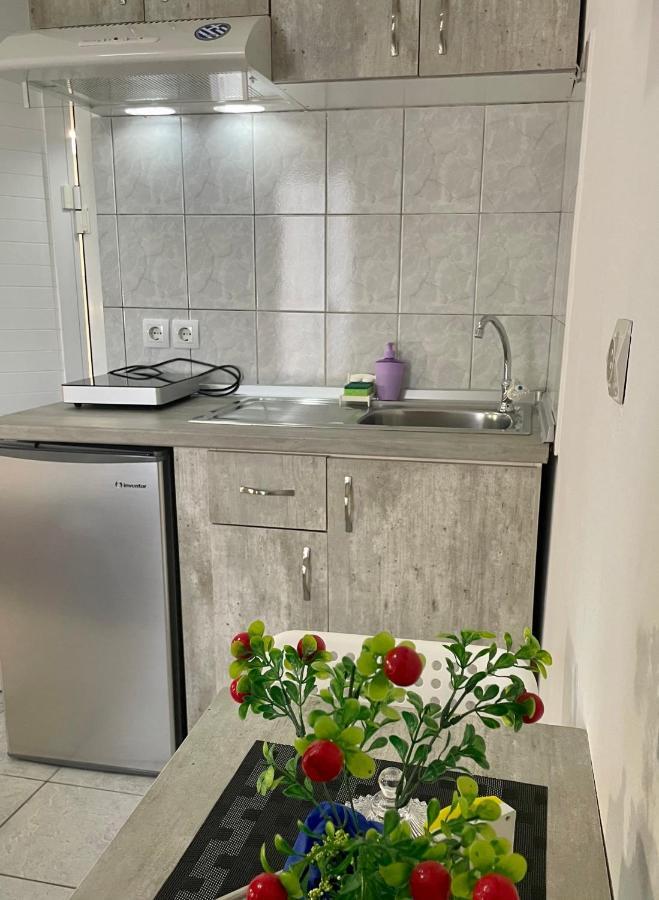 Nisel Seaside Apartment Paralia Katerinis