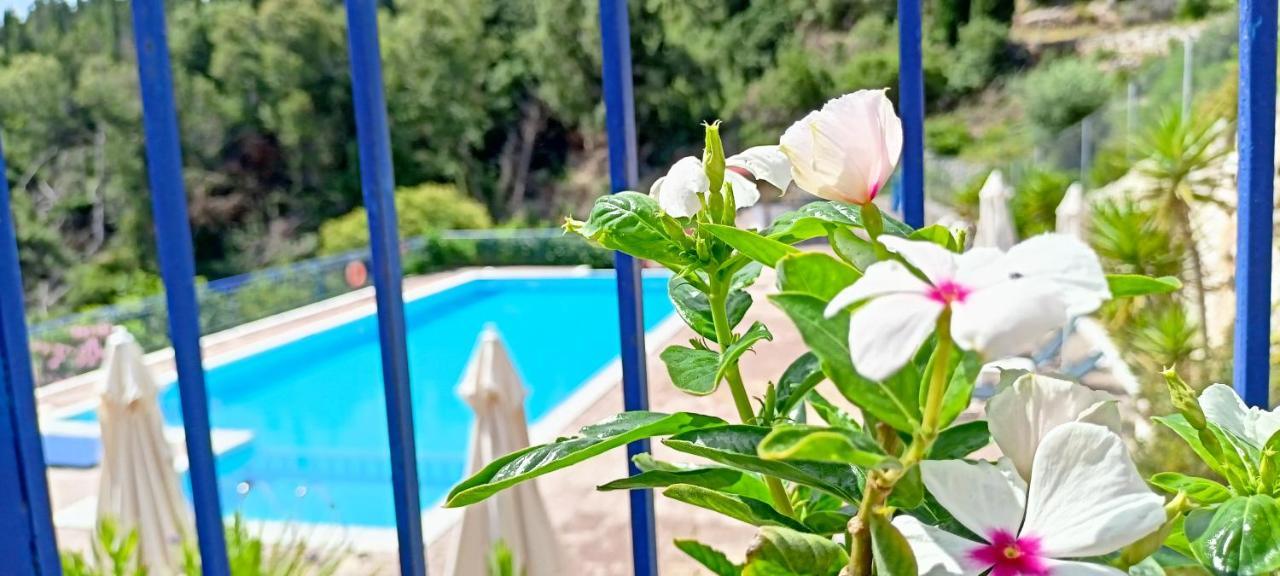 Kaminakia Apartments: Adults-only Oasis With Sea Views And Forest Tranquility