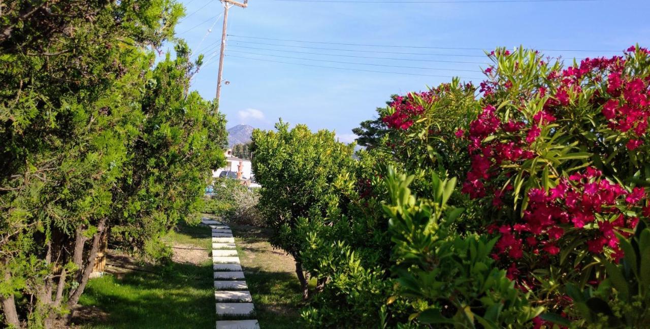 Ancient Meropia, * Apollonia (Sifnos)