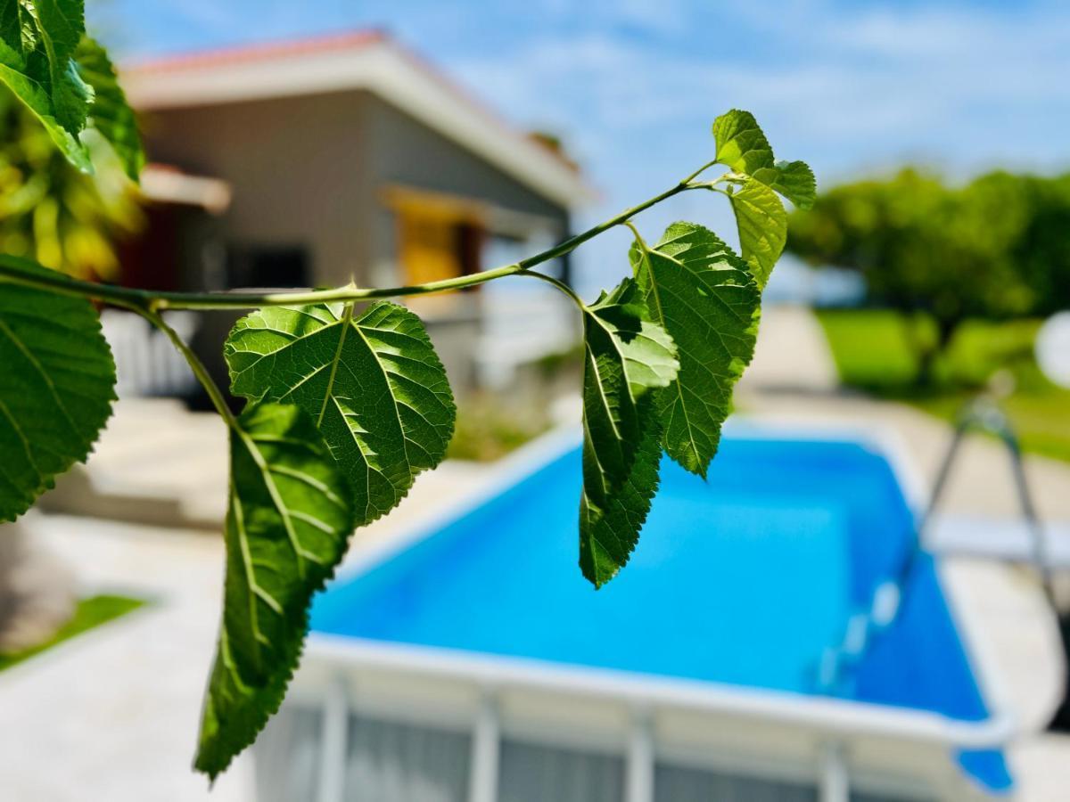 Gazonia Family Estate Guest house *