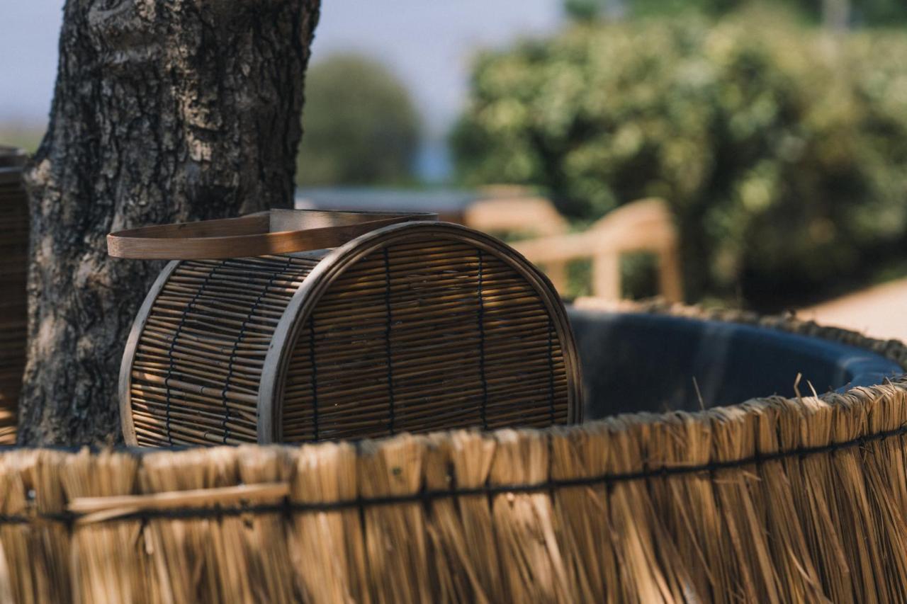 The Nest 2*