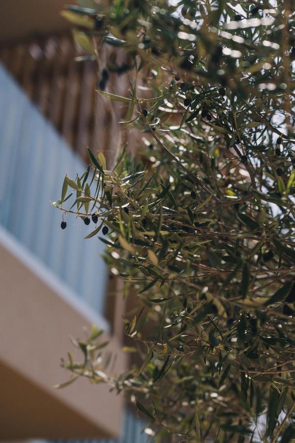 Hotel The Nest 2*