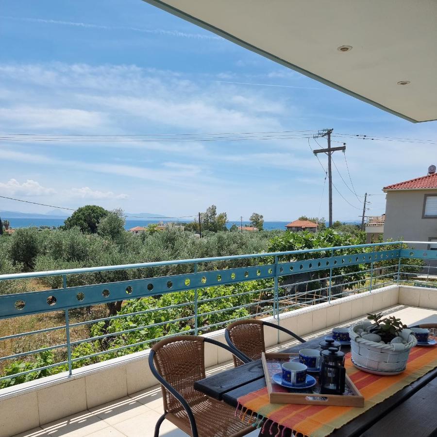 Apartment Vlasis