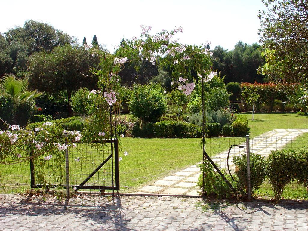 Dallas Svoronata