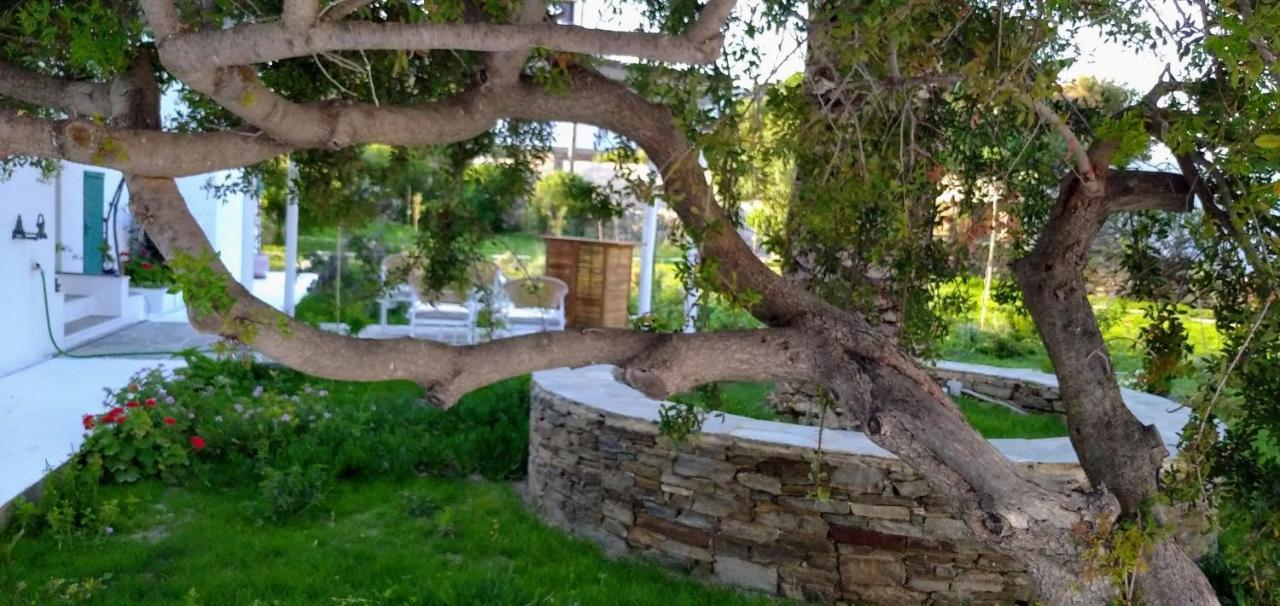 Holiday home Ancient Meropia, Apollonia (Sifnos)