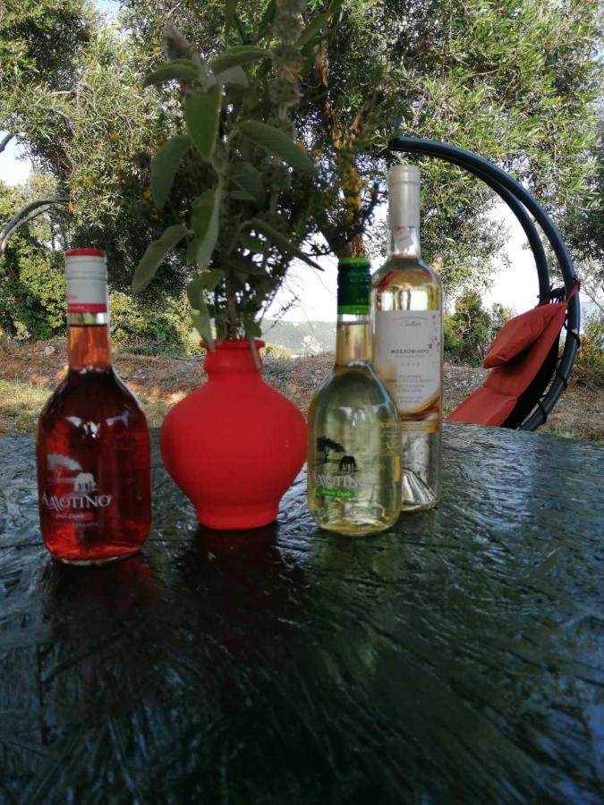 Terraoliva&herbs Campsite Vatos