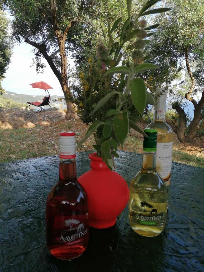 Terraoliva&herbs Campsite Vatos
