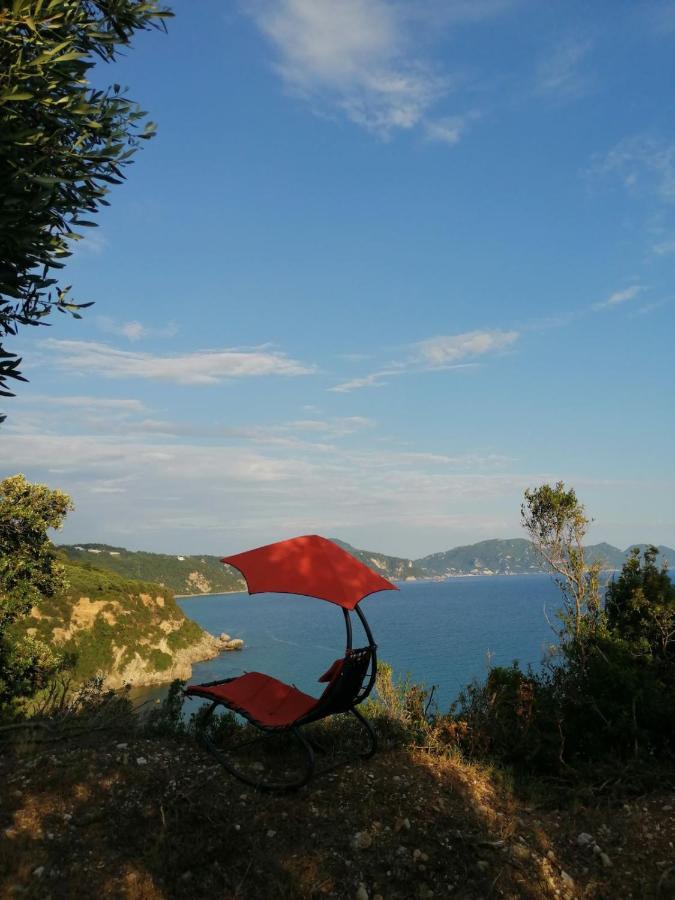 Campsite Terraoliva&herbs