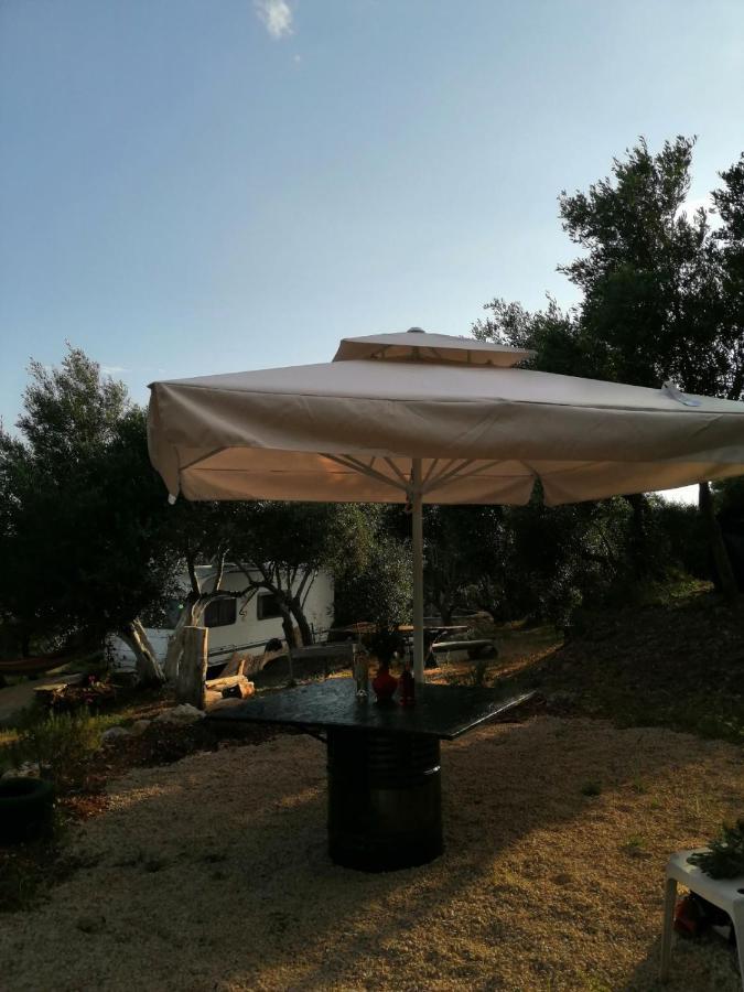 Campsite Terraoliva&herbs
