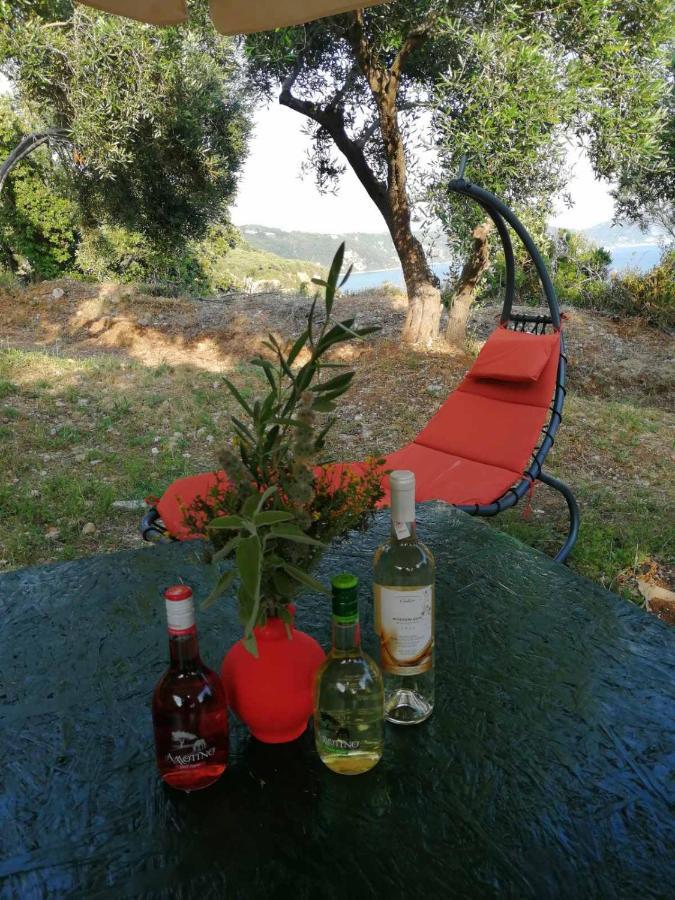 Terraoliva&herbs Campsite *