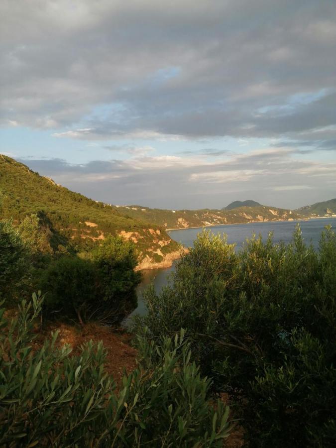 Campsite Terraoliva&herbs *