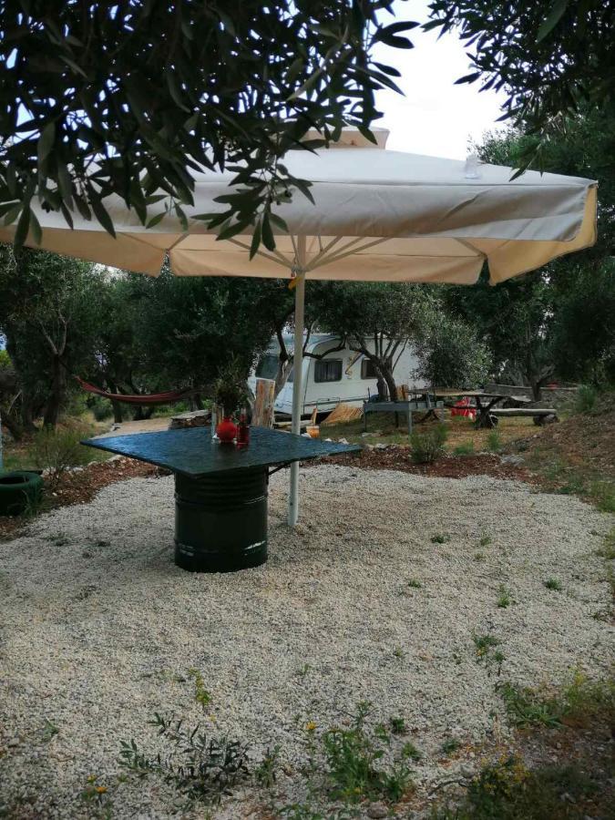 Campsite Terraoliva&herbs Vatos