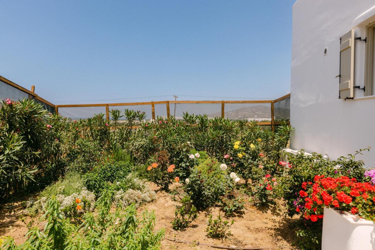 Velonis With Private Pool And Sea View Villa Agia Anna (Naxos)