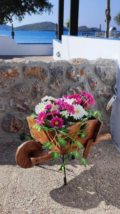 Filina's Luxury House * Analipsi (Astypalaia)