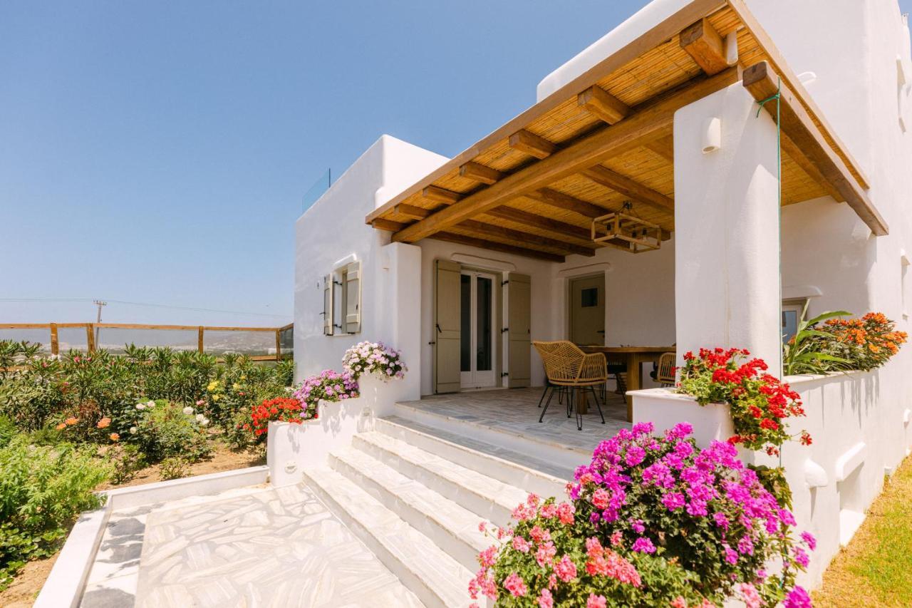 Velonis With Private Pool And Sea View Villa