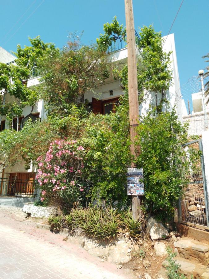 Guest house Loggia Agia Galini (Crete)