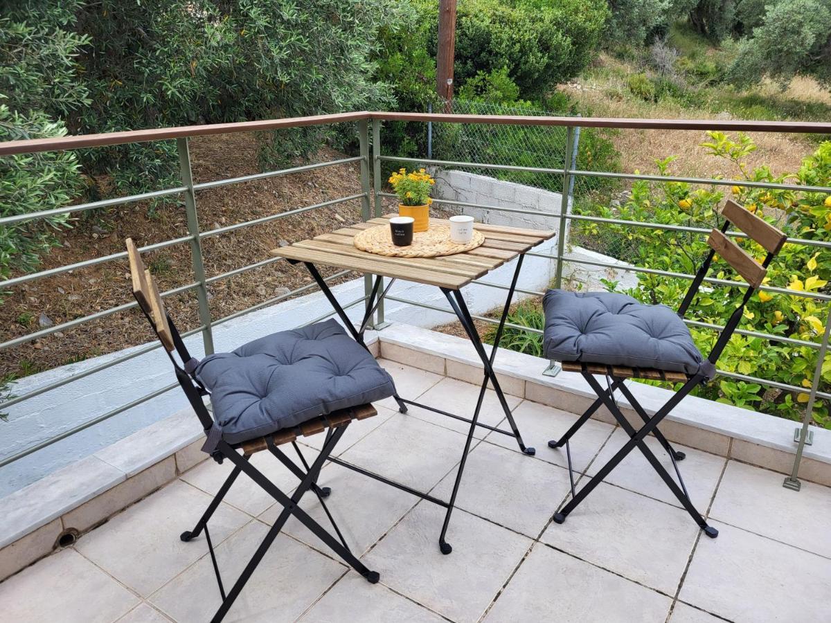 Omikron Holiday home Mikro