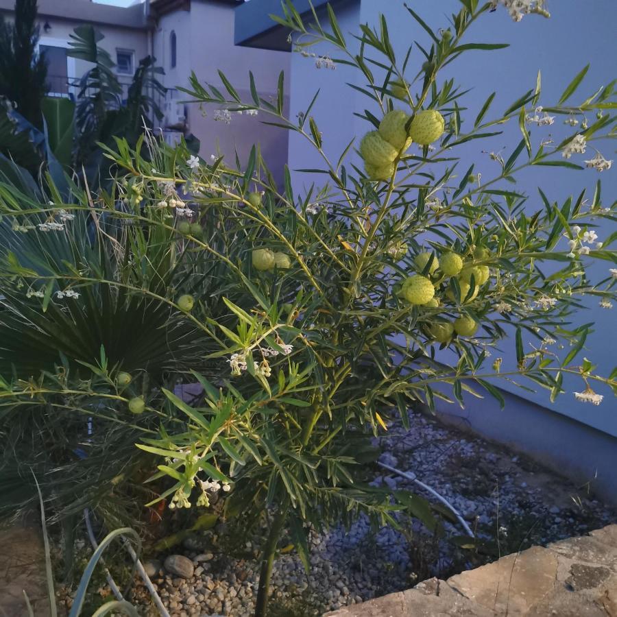Muse By The Amoudara (Lasithi)