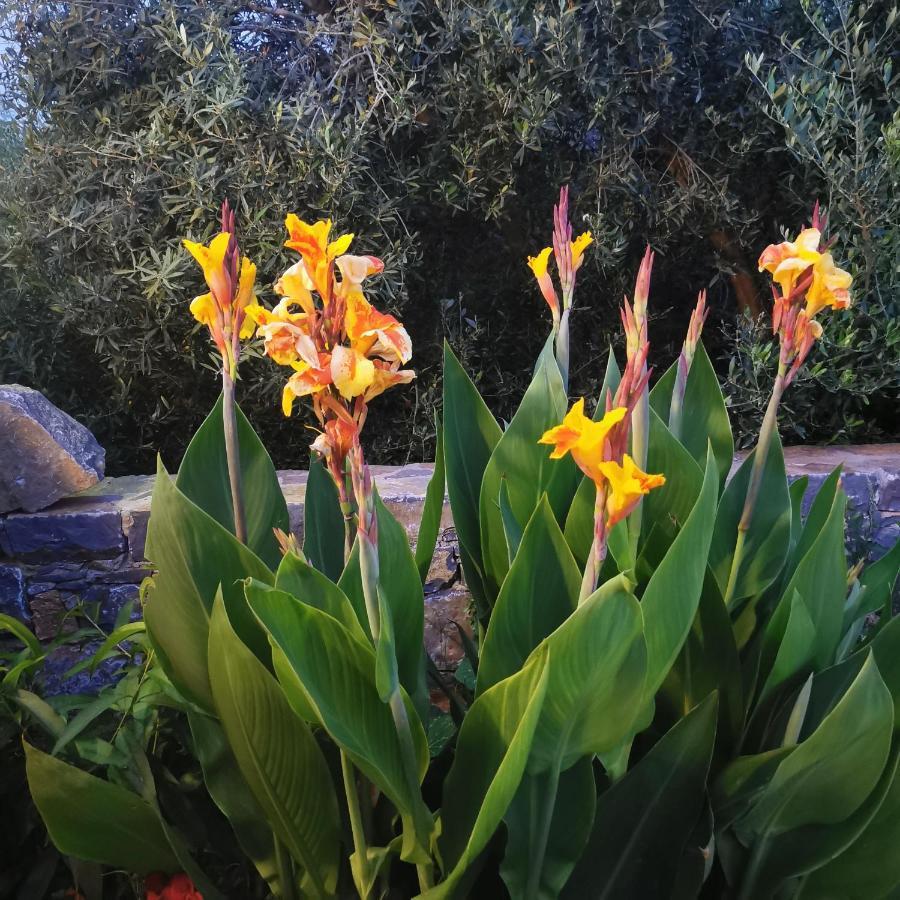 Apartment Muse By The Amoudara (Lasithi)