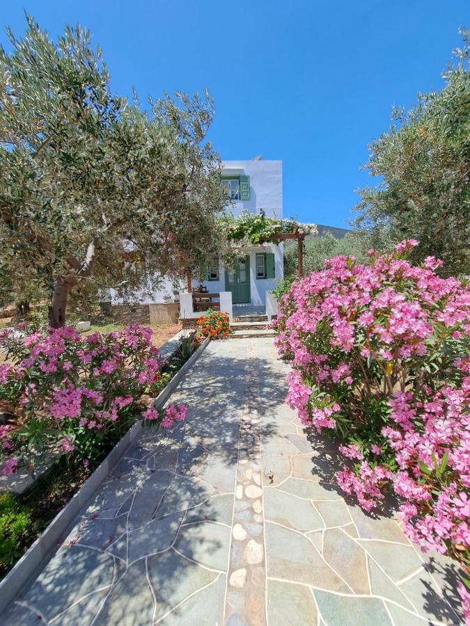 Apartment Madilides Platis Gialos (Sifnos)