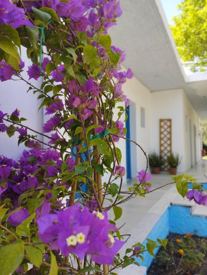 Guest house Filoxenia Riza (Epirus)