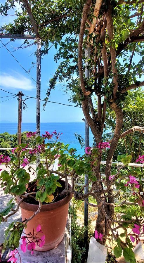 Apartment House Lana Perama (Corfu)