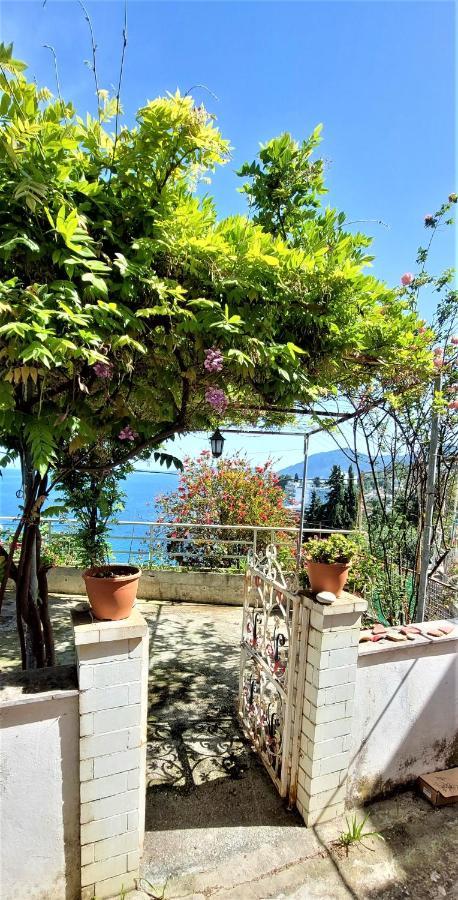 Apartment House Lana Perama (Corfu)