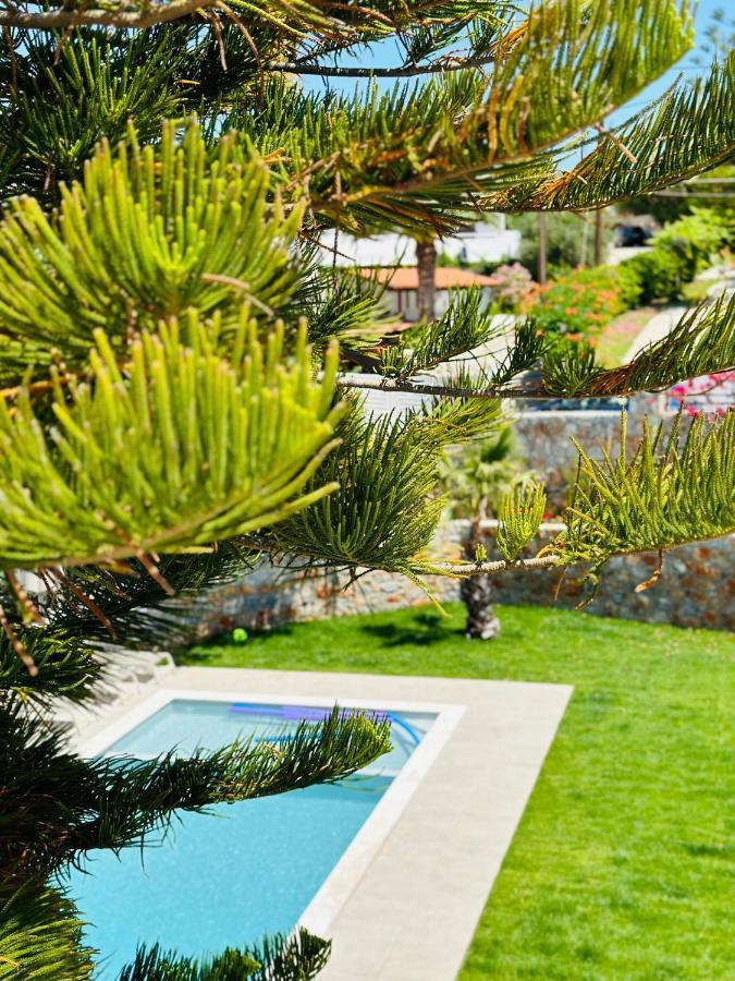 Cost Mari Almyrida New By Zago Boutiqe Apartment Almyrida (Crete)