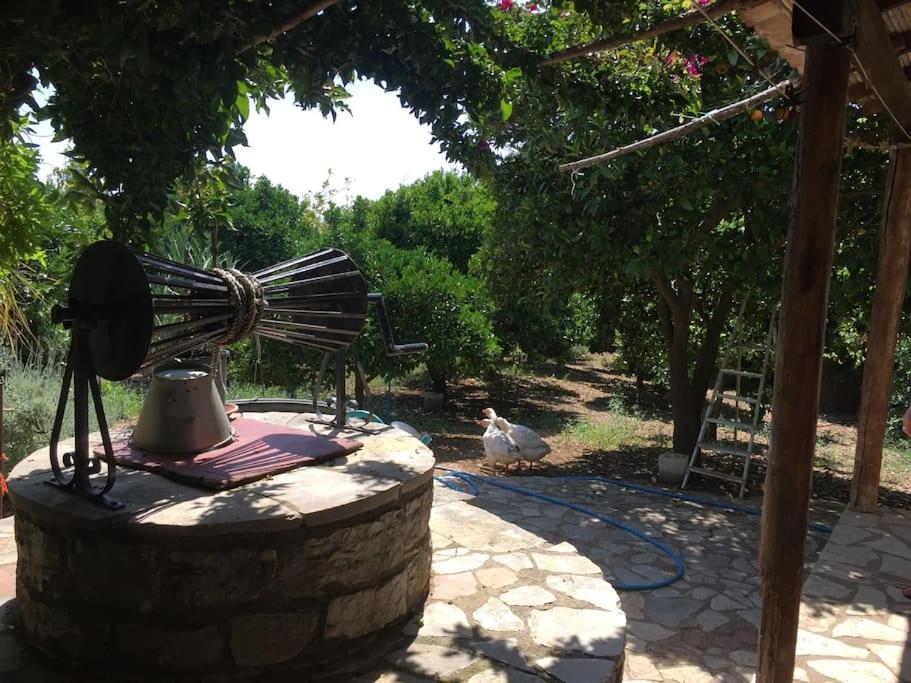 Holiday home Vounaki Seaside Dreamland! Kyparissia