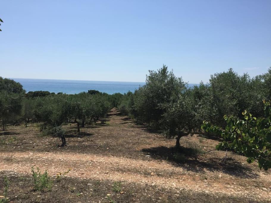 Holiday home Vounaki Seaside Dreamland! Kyparissia