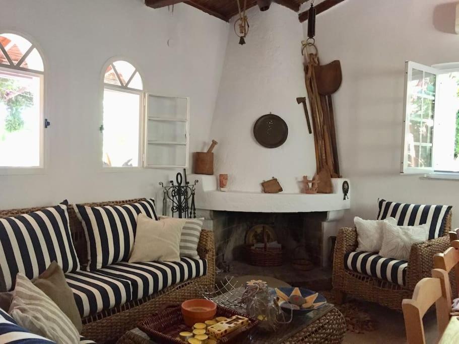 Vounaki Seaside Dreamland! Holiday home