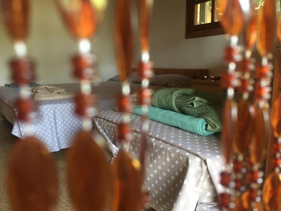 Vounaki Seaside Dreamland! Holiday home *