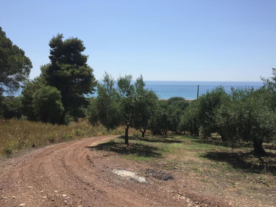Holiday home Vounaki Seaside Dreamland! Kyparissia