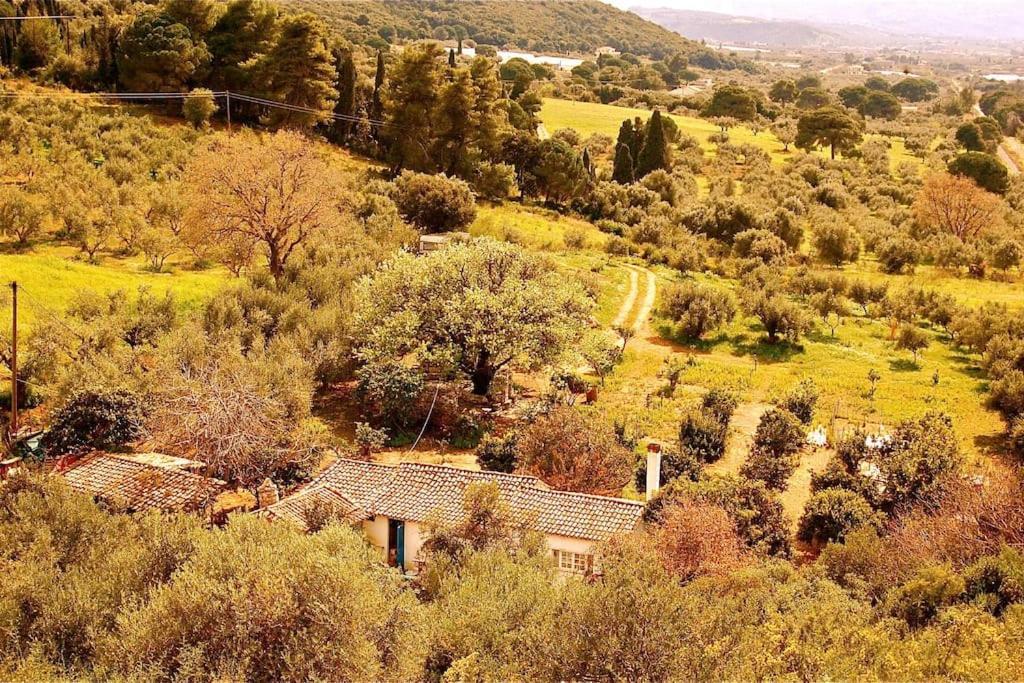 Holiday home Vounaki Seaside Dreamland! *