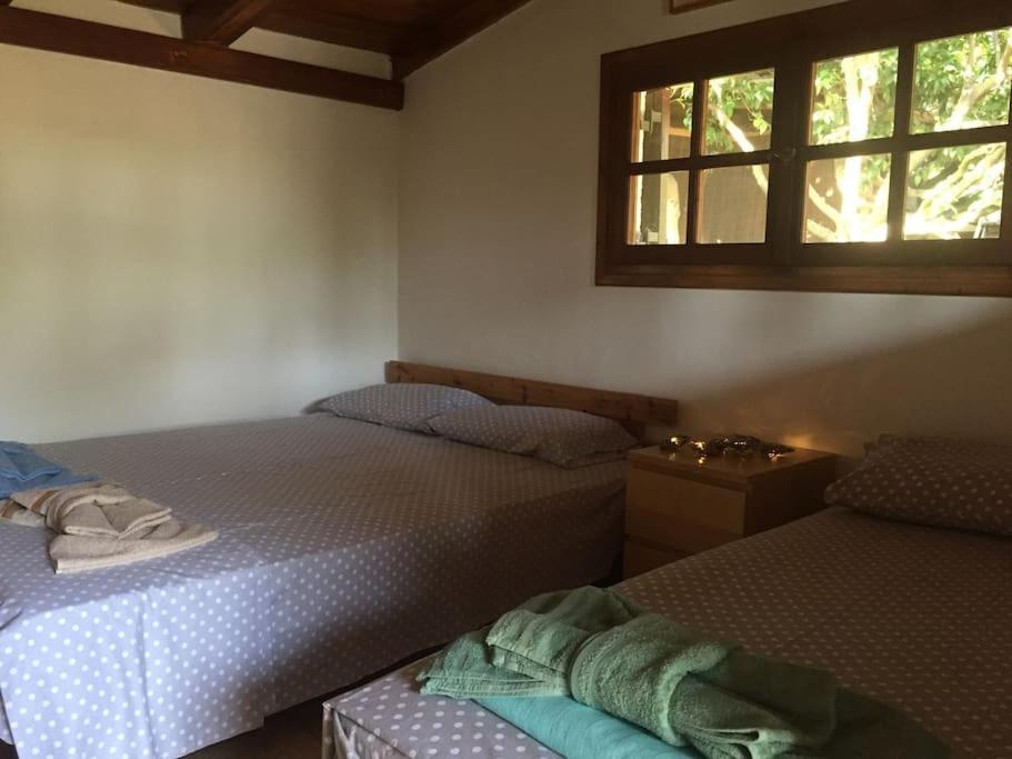 Holiday home Vounaki Seaside Dreamland!