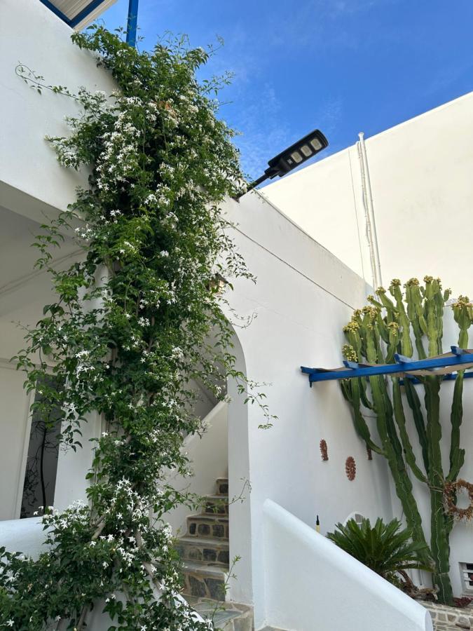 Apartment Antonia *