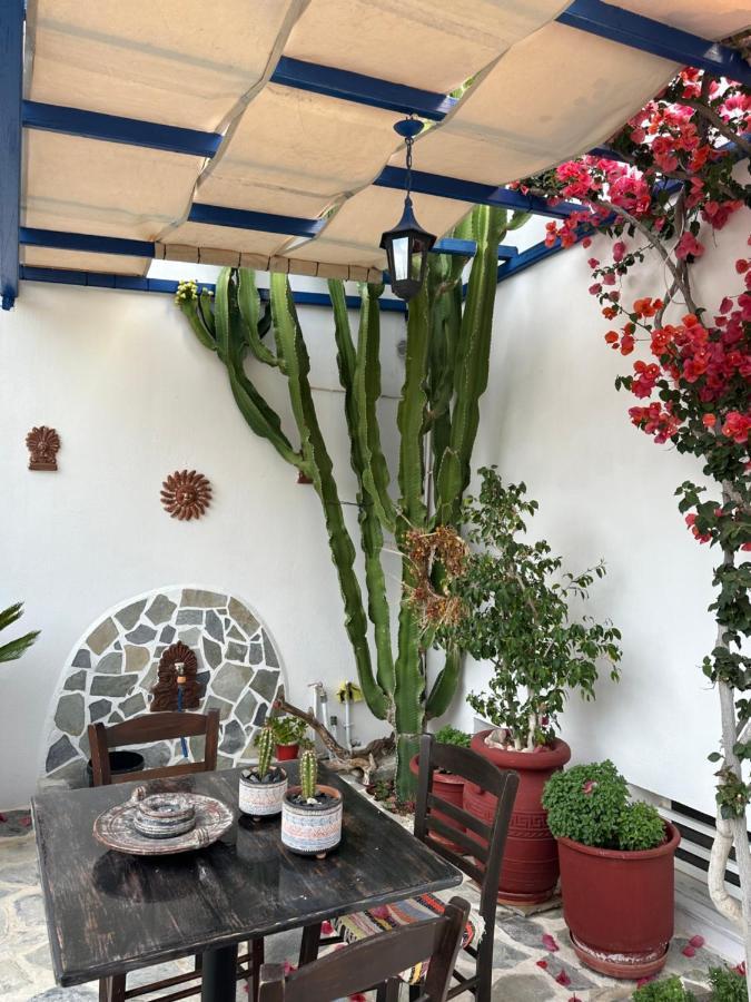 Antonia Apartment