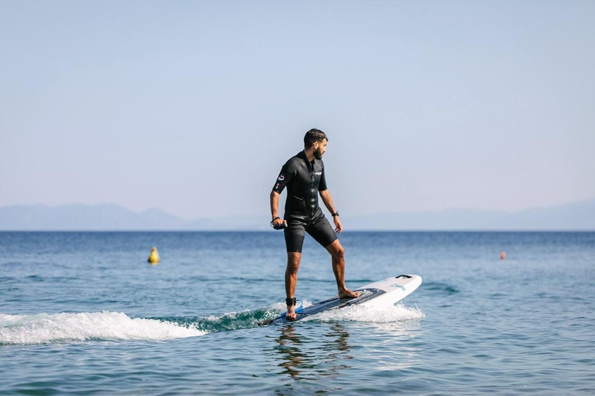Brown Evia Island, In Eretria, A Member Of Brown