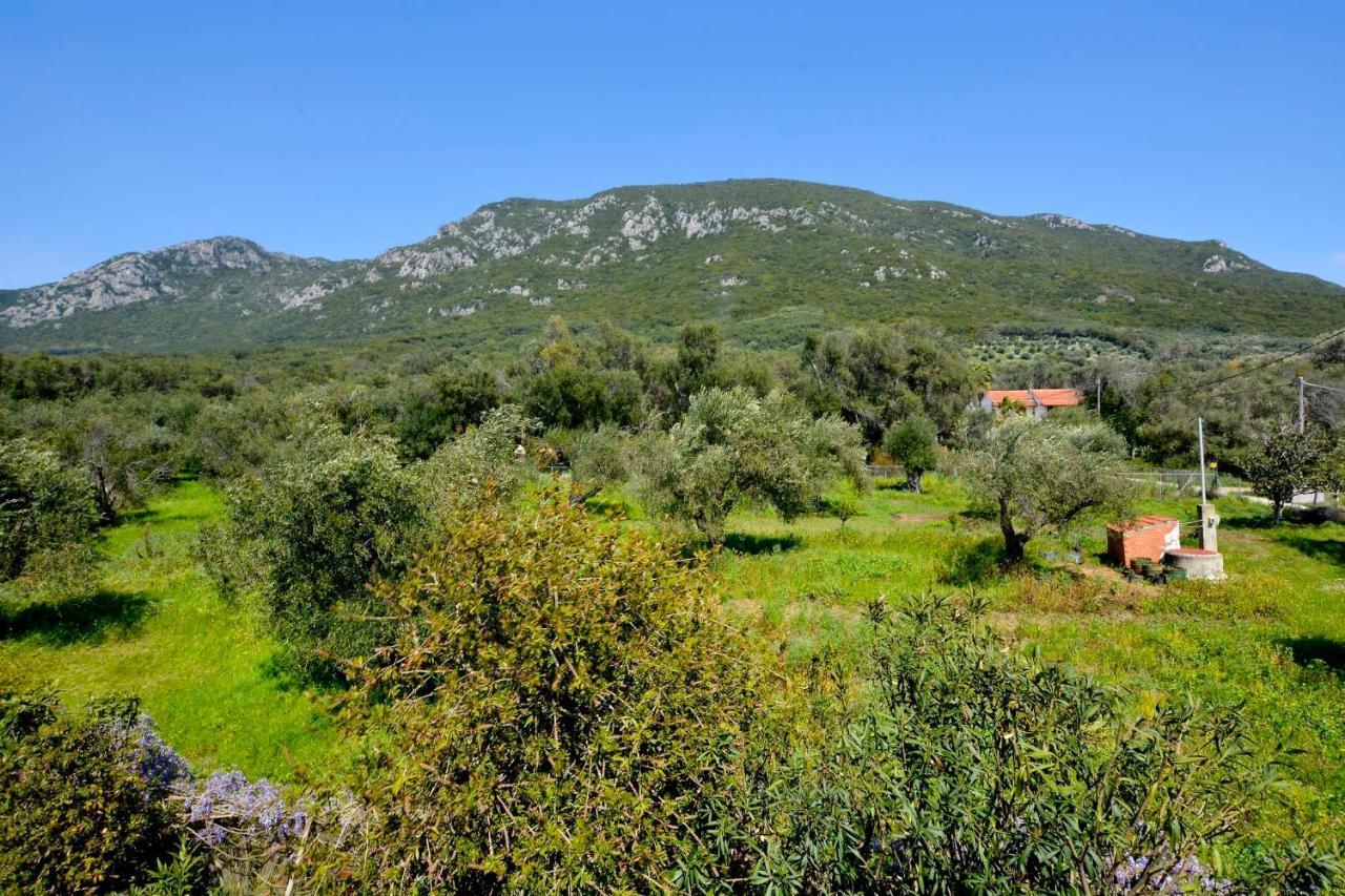 Giokos Apartment