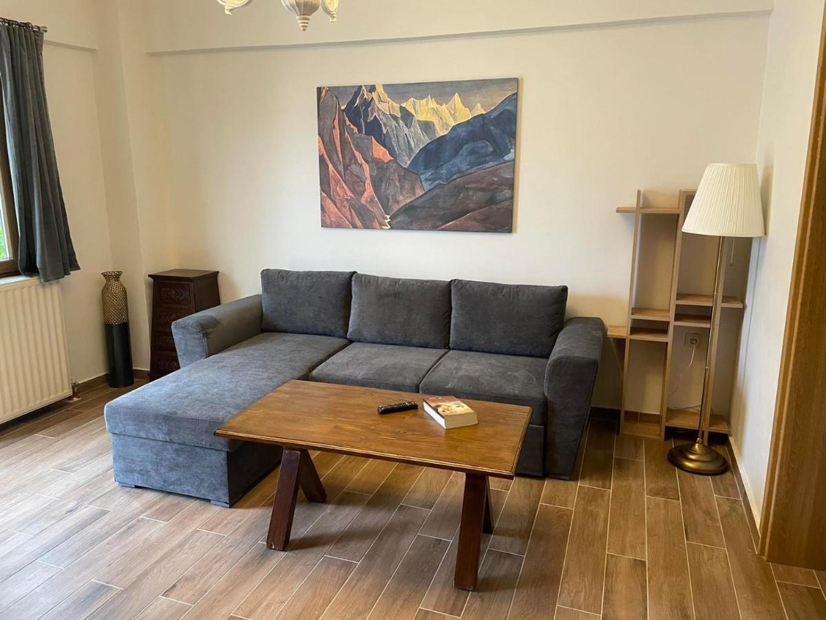 Tzovolos Apartment