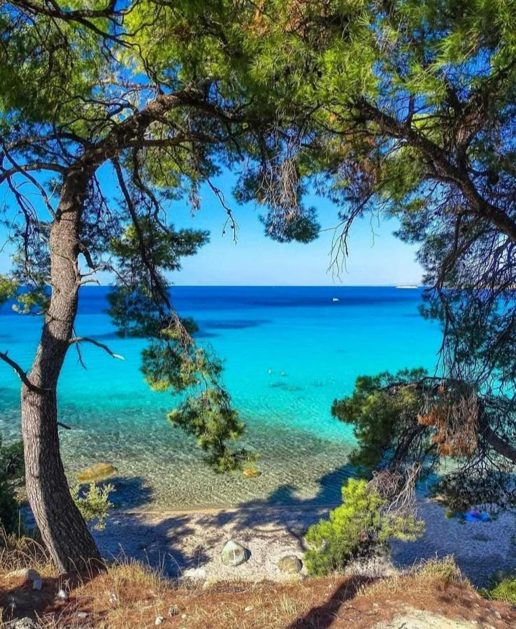 Agrili Apartments & Rooms Elia Nikitis