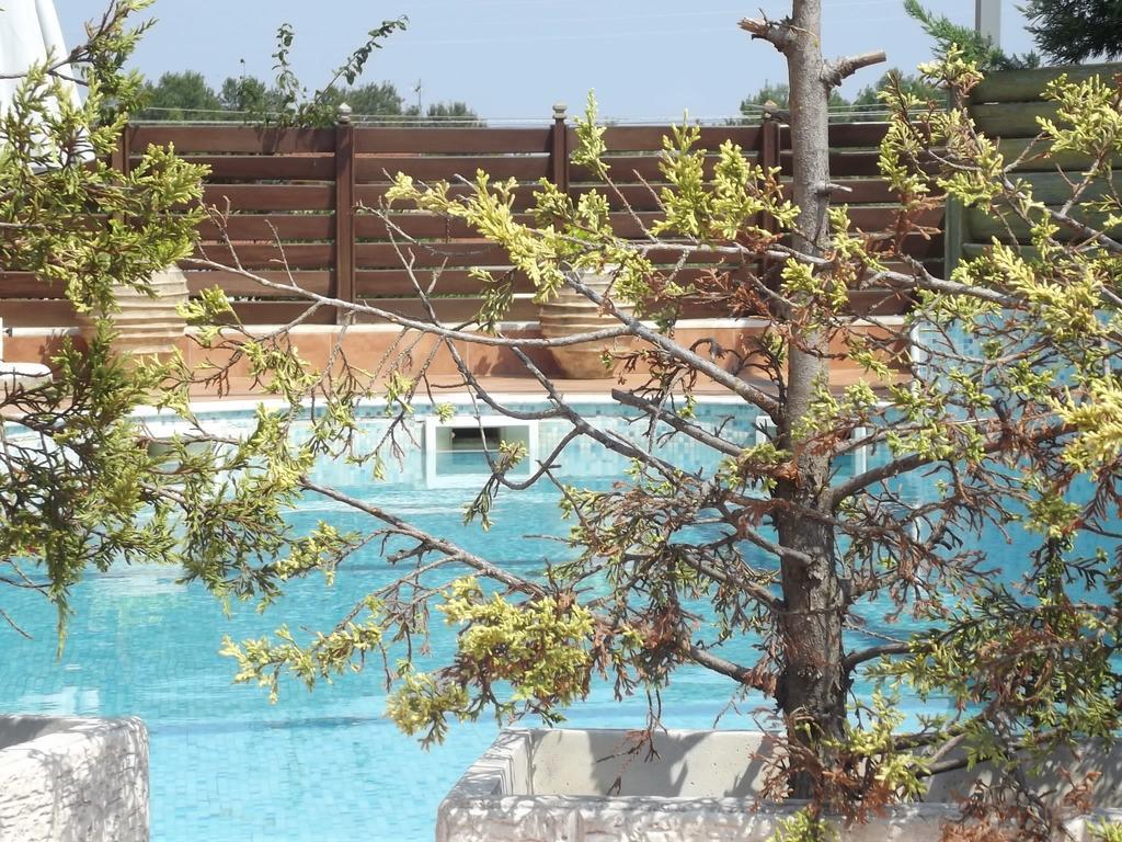 Hotel Metropole 2*