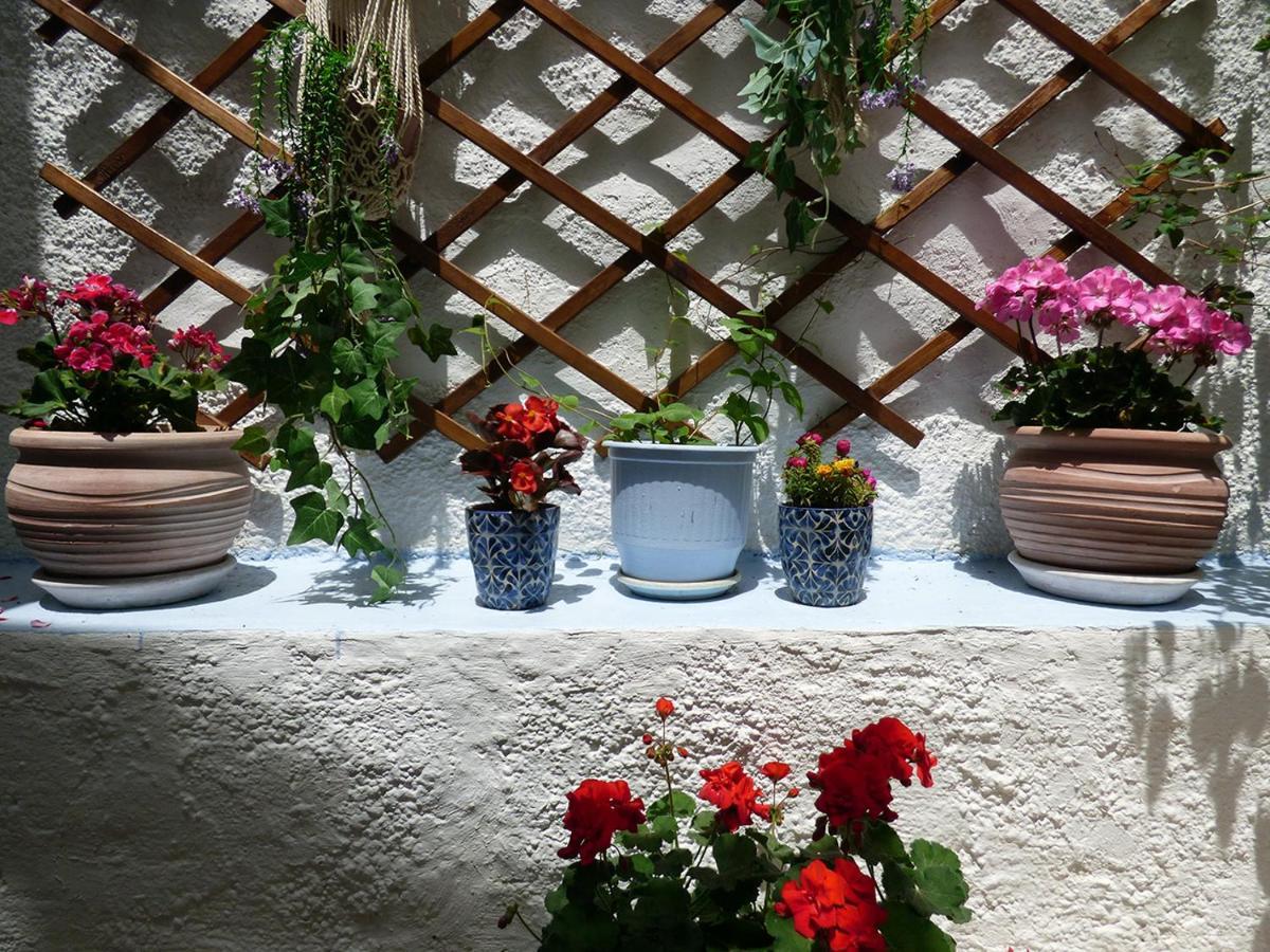 Tasoula Guest House 3*