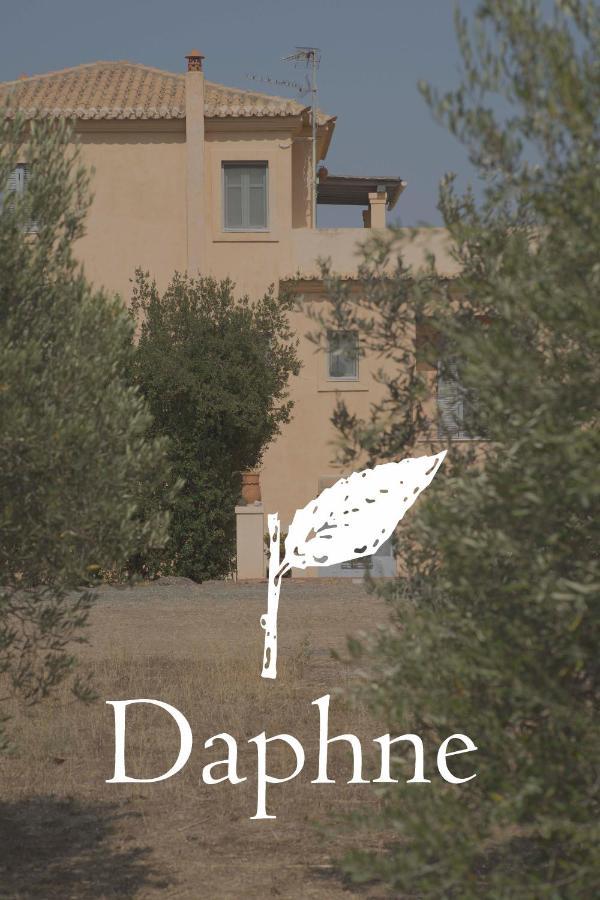 Daphne *