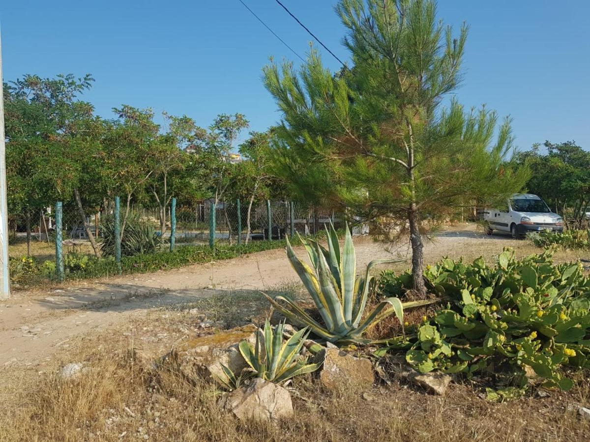 Doukas By The Sea-little Paradise-beachfront Apartment *