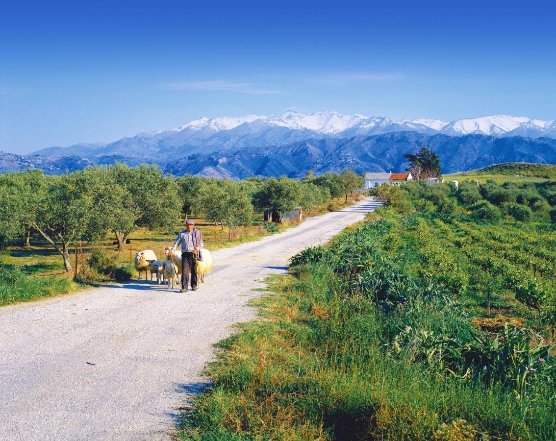 Vereniki * Almyrida (Crete)